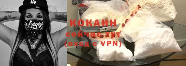 спайс Богданович