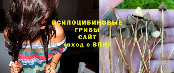 ешки Богородск