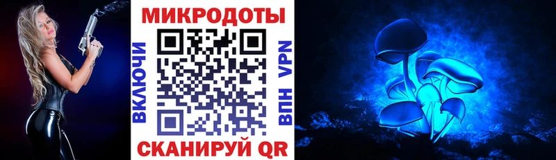 Псилоцибиновые грибы мицелий  хочу наркоту  Севск 